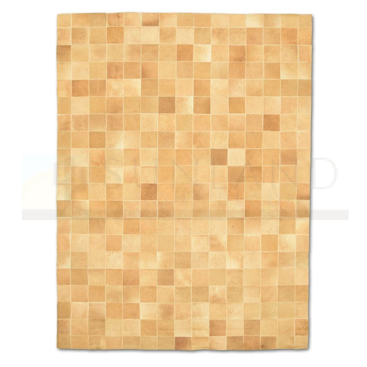 M&oacute;dulos 10x10cm