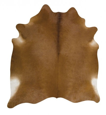 S&oacute;lido Marrom